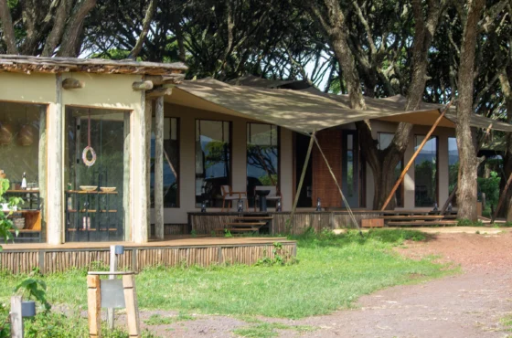 Top 10 Reasons Travelers Love Exploring Tanzania and Kenya with us