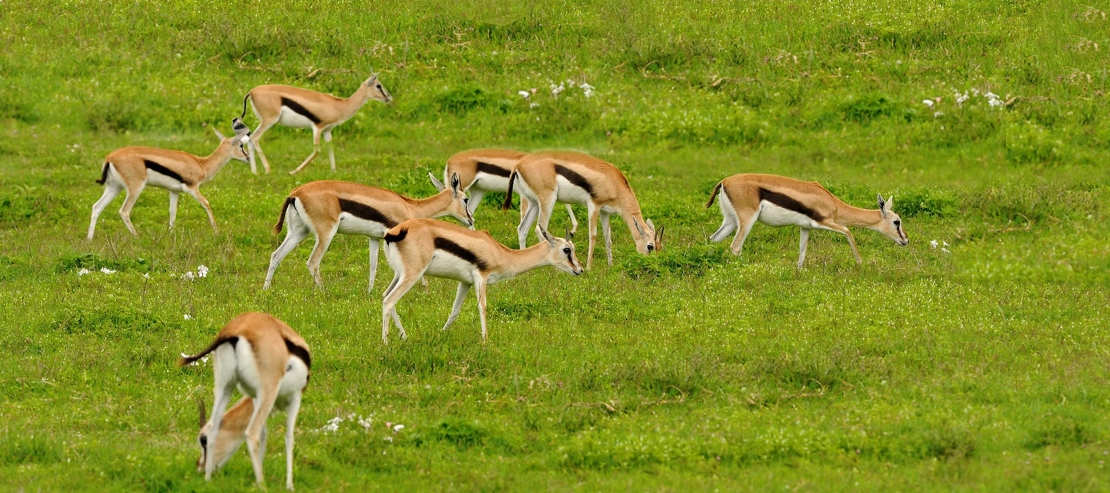 Serengeti National Park